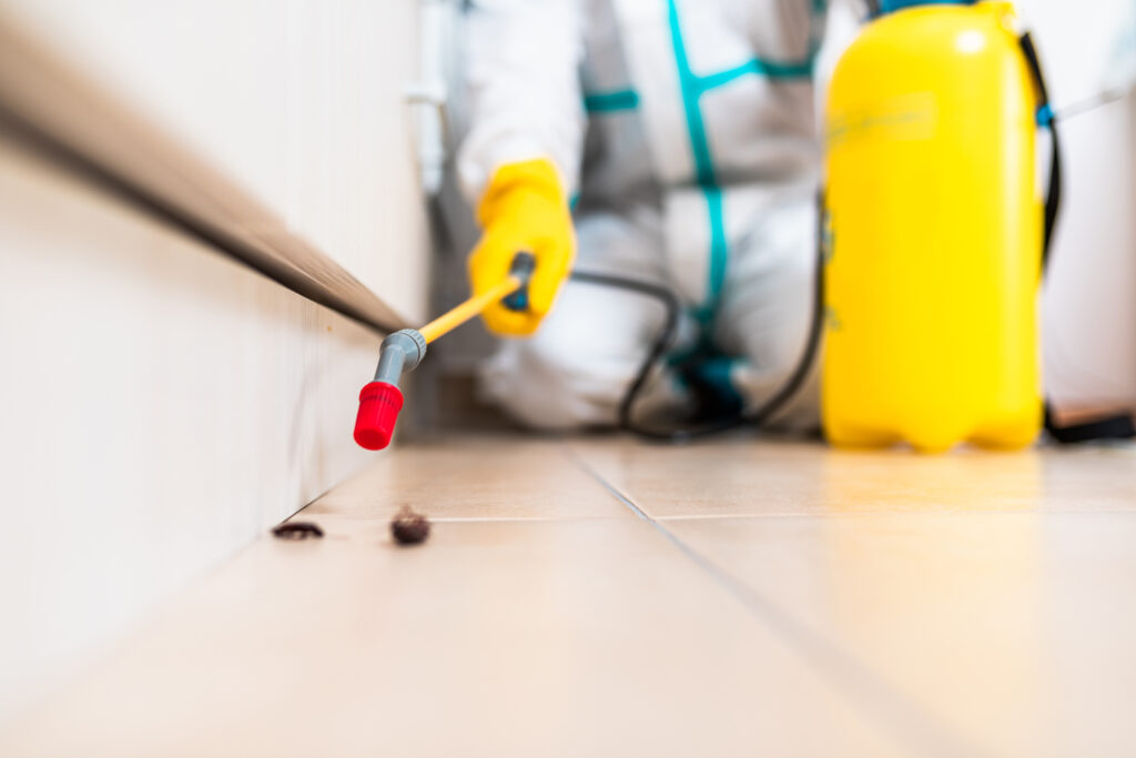 Los Altos Cockroach Experts